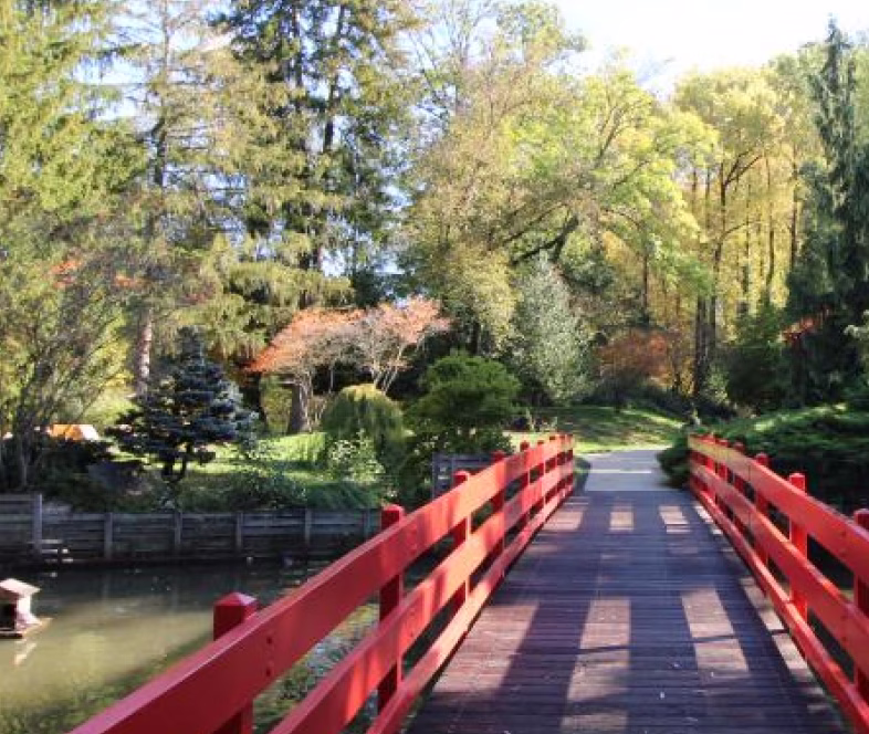 Image pour la sections infos pratiques